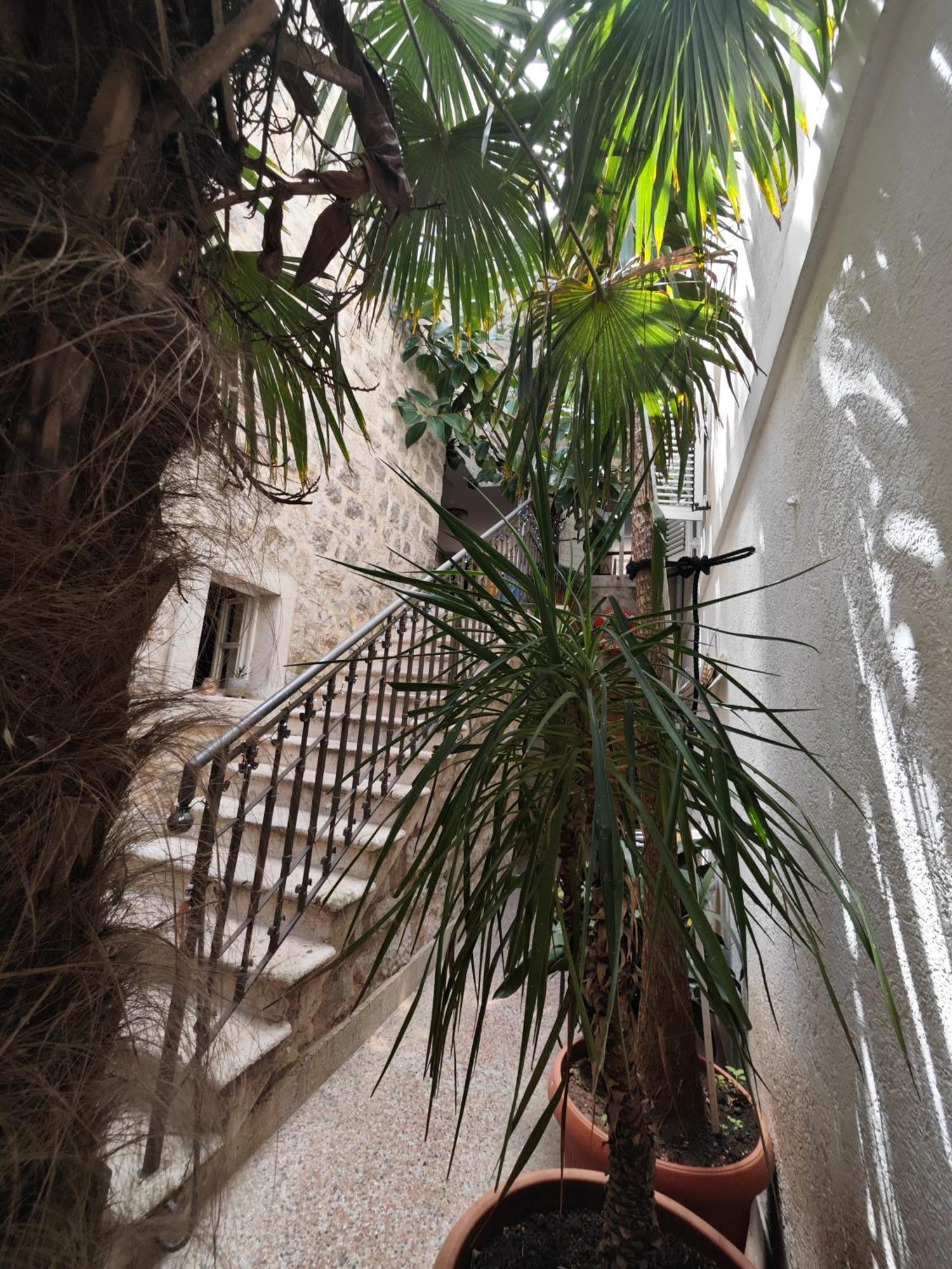 Beatrix Suites Budva Bagian luar foto